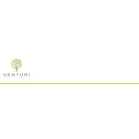 Venturi Consulting Group logo, Venturi Consulting Group contact details