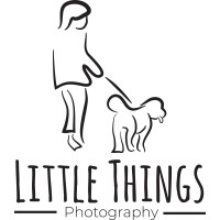 Little Things Photography logo, Little Things Photography contact details