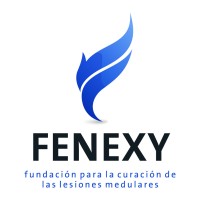 Fenexy Foundation logo, Fenexy Foundation contact details