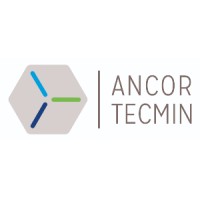 Nueva Ancor Tecmin S.A. logo, Nueva Ancor Tecmin S.A. contact details