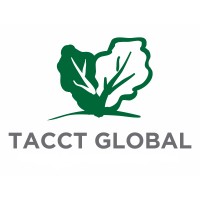 TACCT GLOBAL logo, TACCT GLOBAL contact details