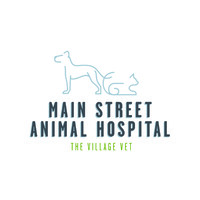 Main Street Animal Hospital logo, Main Street Animal Hospital contact details