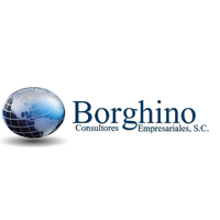 Borghino Consutores Empresariales, S.C. logo, Borghino Consutores Empresariales, S.C. contact details