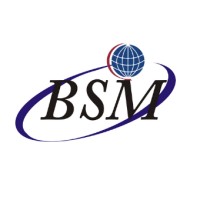 BSM Consultoria logo, BSM Consultoria contact details