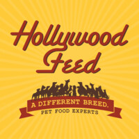 Hollywood Feed logo, Hollywood Feed contact details