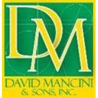 DAVID MANCINI & SONS, INC. logo, DAVID MANCINI & SONS, INC. contact details