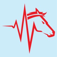 Pulse Racing Thoroughbreds logo, Pulse Racing Thoroughbreds contact details