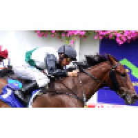 Lindsay Park Racing logo, Lindsay Park Racing contact details