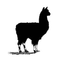 Black Llama Foods logo, Black Llama Foods contact details