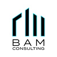 BAM Consulting logo, BAM Consulting contact details