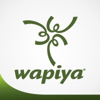 Wapiya Consultoria em Recursos Humanos logo, Wapiya Consultoria em Recursos Humanos contact details