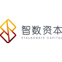 Stalagnate Capital logo, Stalagnate Capital contact details