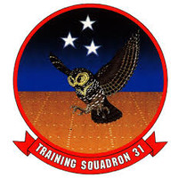 Training Squadron THIRTY-ONE (VT-31) logo, Training Squadron THIRTY-ONE (VT-31) contact details