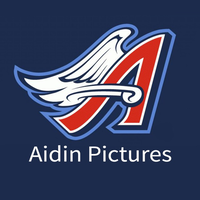 Aidin Pictures logo, Aidin Pictures contact details