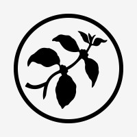 StoneFruit Coffee Co. logo, StoneFruit Coffee Co. contact details