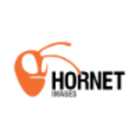 Hornet Images logo, Hornet Images contact details