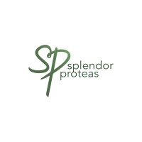 Splendor logo, Splendor contact details