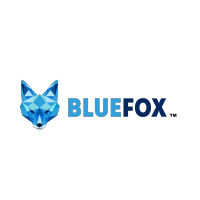 Blue Fox Consulting logo, Blue Fox Consulting contact details