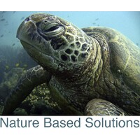 Nature Based Solutions logo, Nature Based Solutions contact details