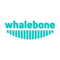 Whalebone DNS logo, Whalebone DNS contact details