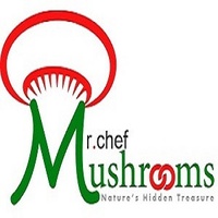 Mr Chef Group logo, Mr Chef Group contact details