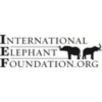 International Elephant Foundation logo, International Elephant Foundation contact details