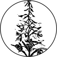 Fireweed: Poetry of Oregon logo, Fireweed: Poetry of Oregon contact details