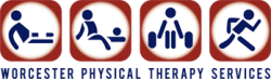 Worcester Physical Therapy Services logo, Worcester Physical Therapy Services contact details