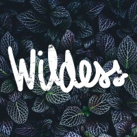 WILDESS Digital logo, WILDESS Digital contact details