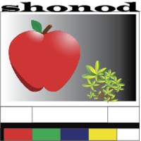 Shonod Edutainment logo, Shonod Edutainment contact details