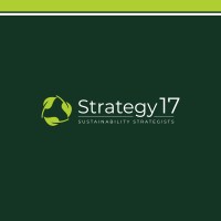 Strategy 17 logo, Strategy 17 contact details