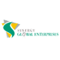 Synergy Global Enterprises logo, Synergy Global Enterprises contact details