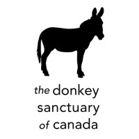 The Donkey Sanctuary of Canada logo, The Donkey Sanctuary of Canada contact details