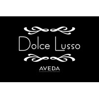 DOLCE LUSSO LLC logo, DOLCE LUSSO LLC contact details