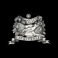 Capisvirleo logo, Capisvirleo contact details