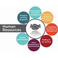 Human Resource services logo, Human Resource services contact details