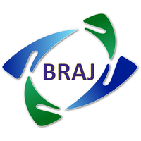 BRAJ Information Technology Pvt Ltd logo, BRAJ Information Technology Pvt Ltd contact details