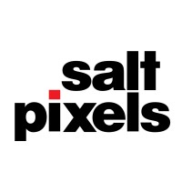 Salt Pixels Pvt Ltd logo, Salt Pixels Pvt Ltd contact details