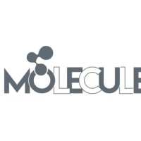 Molecule Medvertising logo, Molecule Medvertising contact details