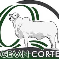 GEAAN CORTE - Grupo de Estudos Aplicados ao Agronegócio logo, GEAAN CORTE - Grupo de Estudos Aplicados ao Agronegócio contact details