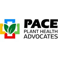 Pace 49 logo, Pace 49 contact details