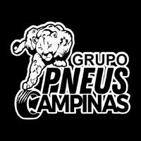 GRUPO PNEUS CAMPINAS logo, GRUPO PNEUS CAMPINAS contact details