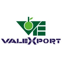 valexportsf logo, valexportsf contact details