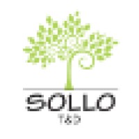 Sollo Treinamentos logo, Sollo Treinamentos contact details