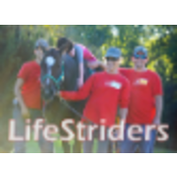 LifeStriders logo, LifeStriders contact details