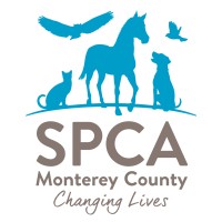 The SPCA for Monterey County logo, The SPCA for Monterey County contact details