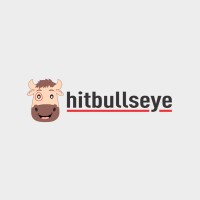 Hitbullseye logo, Hitbullseye contact details