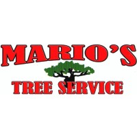 Marios Tree Service Inc logo, Marios Tree Service Inc contact details