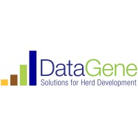 DataGene Limited logo, DataGene Limited contact details