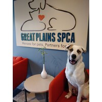 Great Plains SPCA logo, Great Plains SPCA contact details